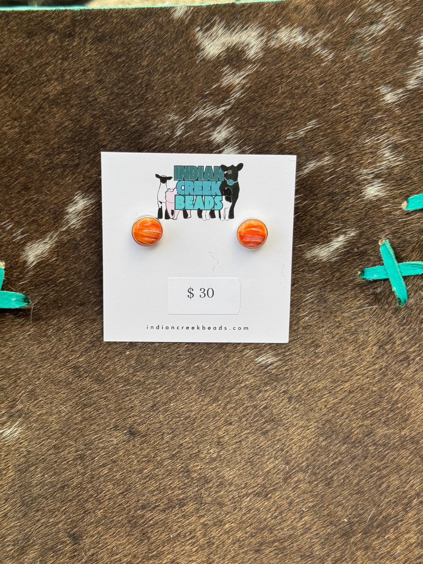 Orange Spiny Simple Earrings