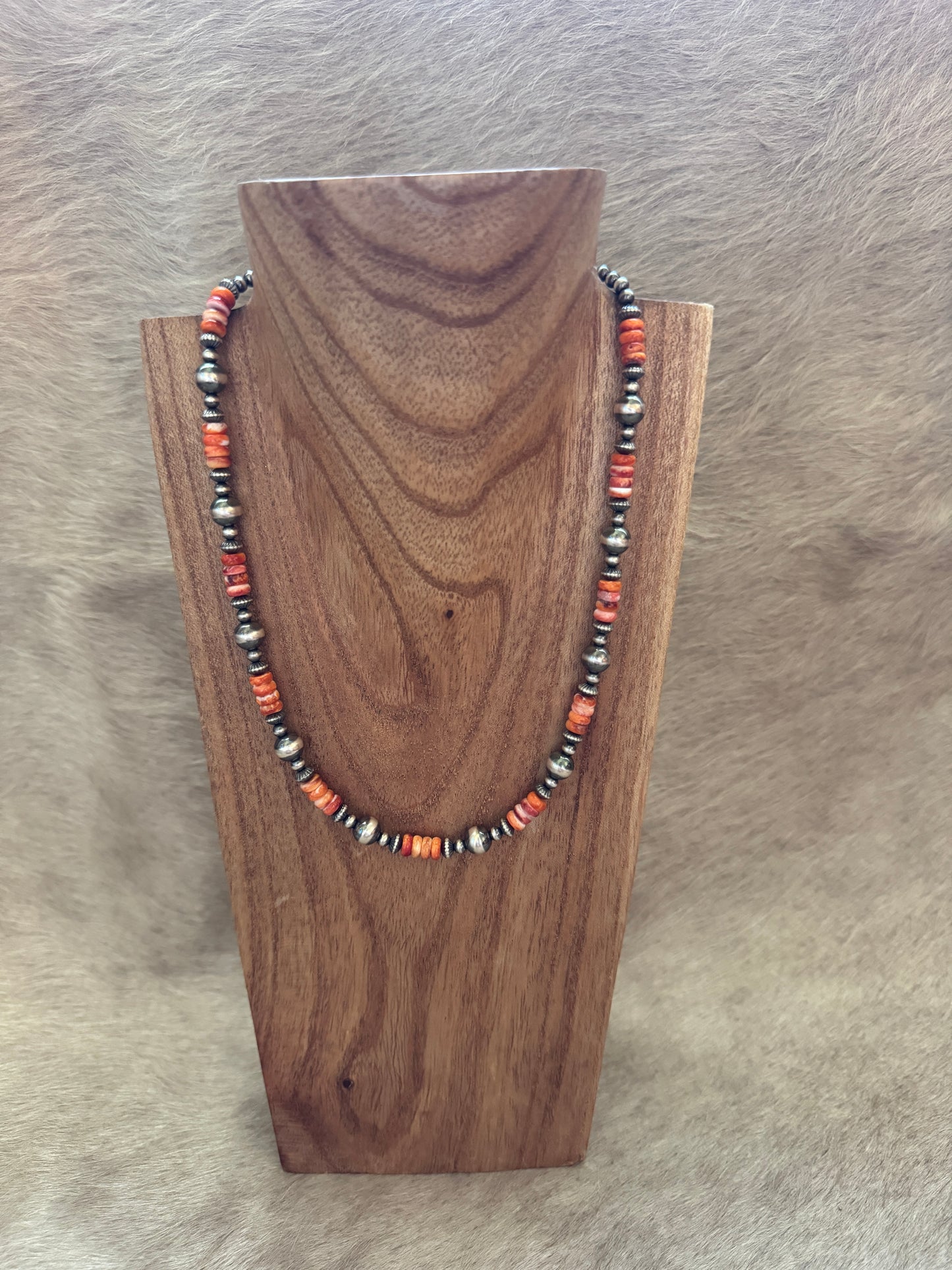 18-19.5" Orange Spiny