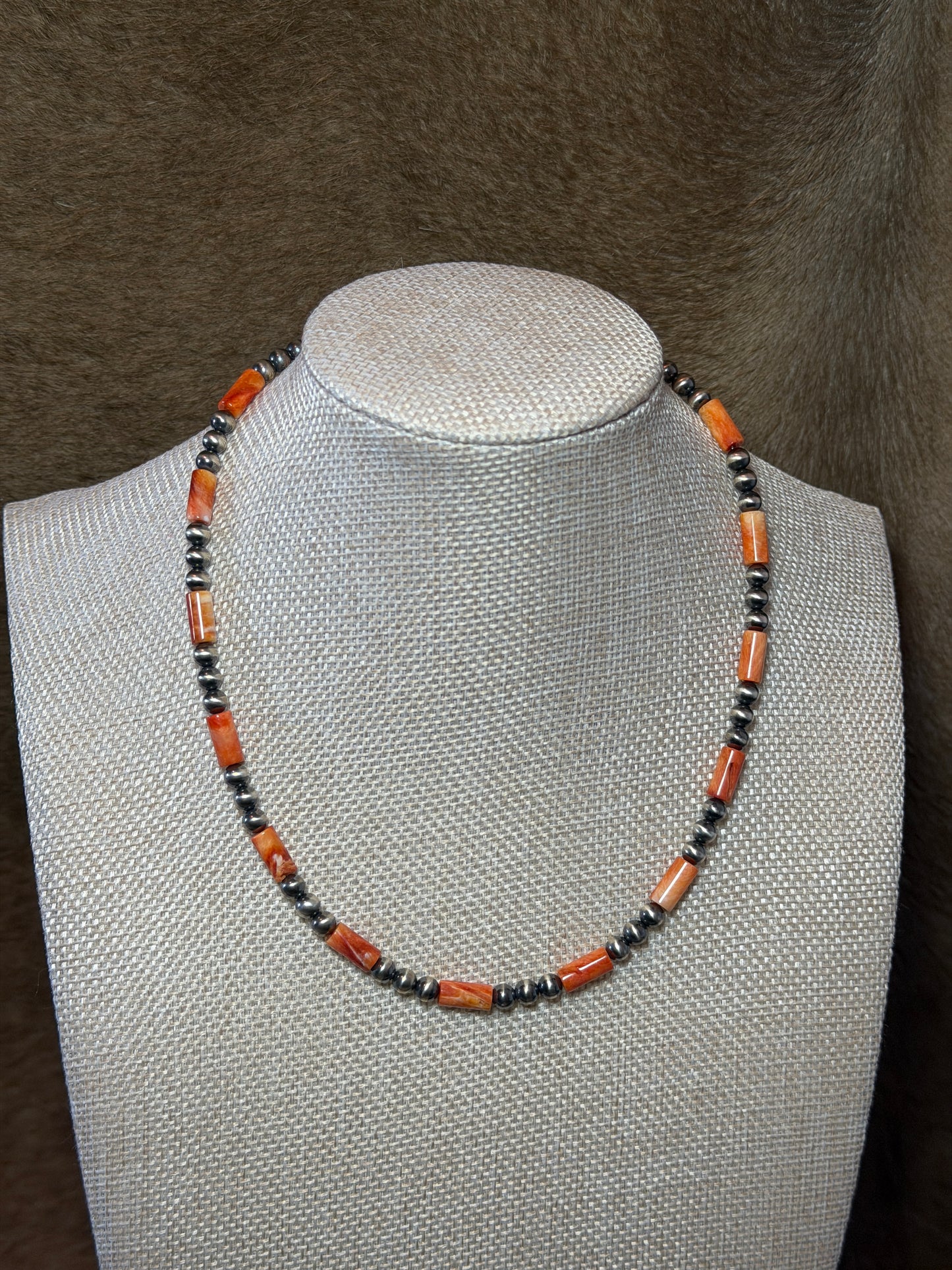 16.5-18" Orange Spiny