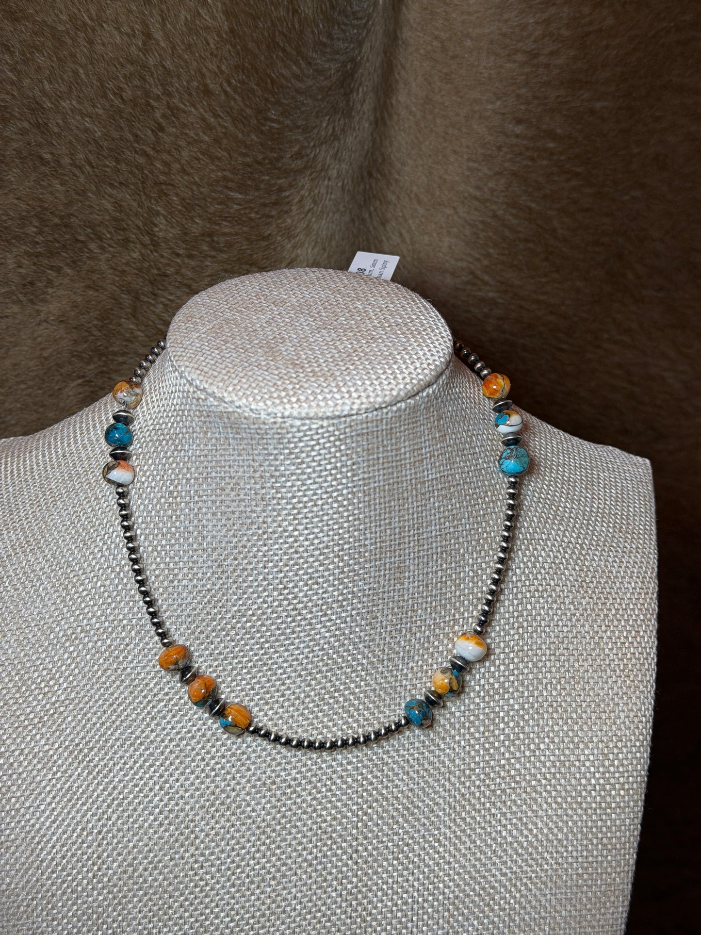 14-15.5" Kingman Spiny