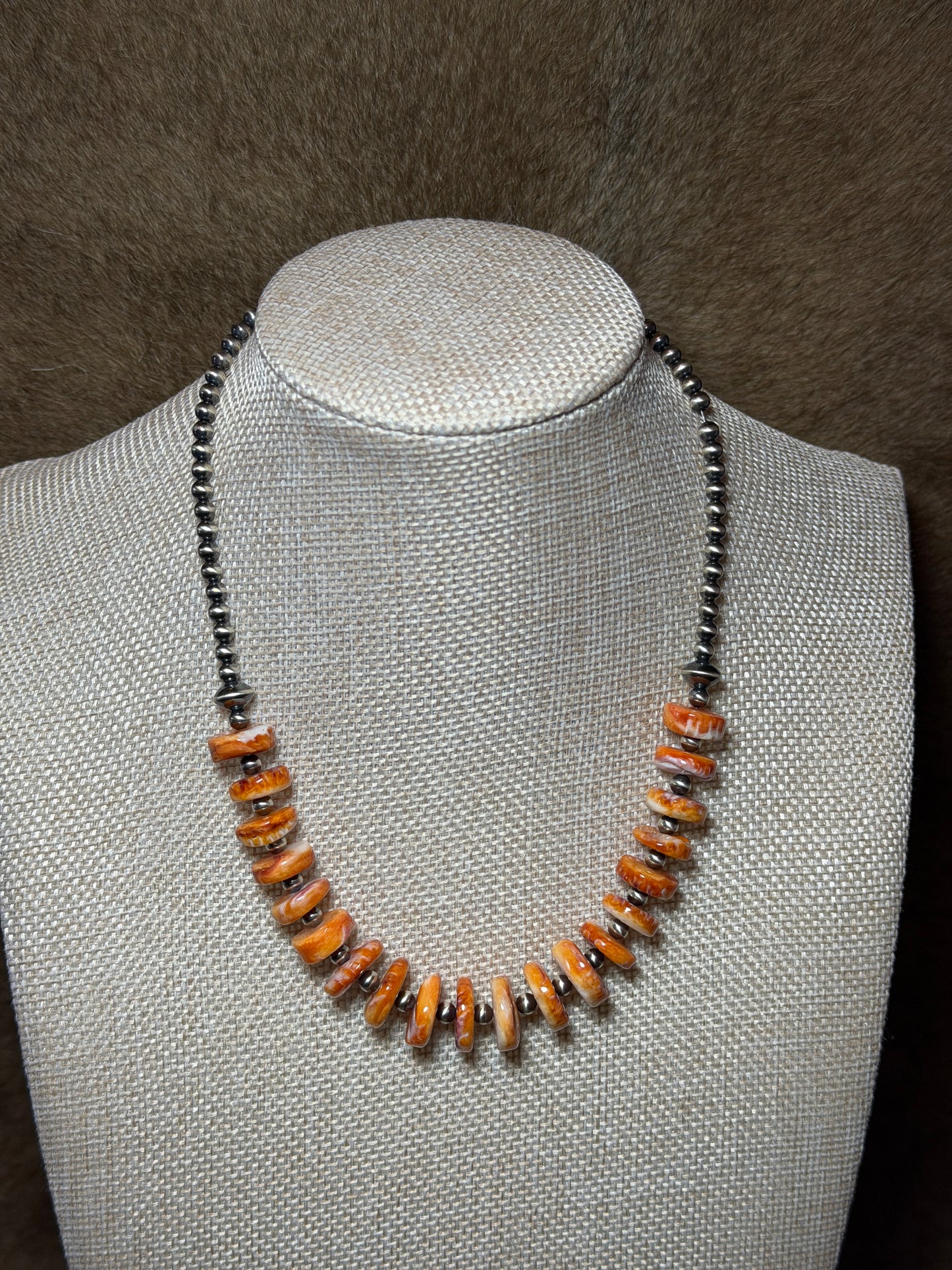 16-17.5" Orange Spiny