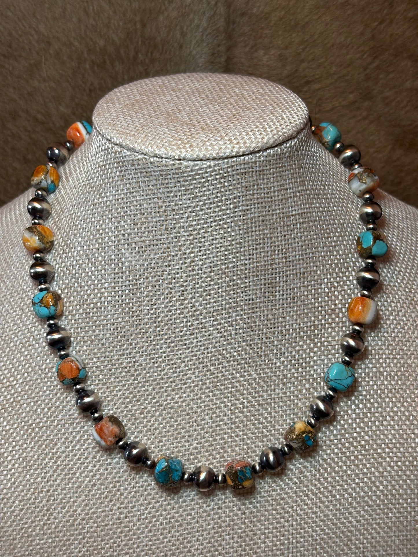 16-17.5" Kingman Spiny