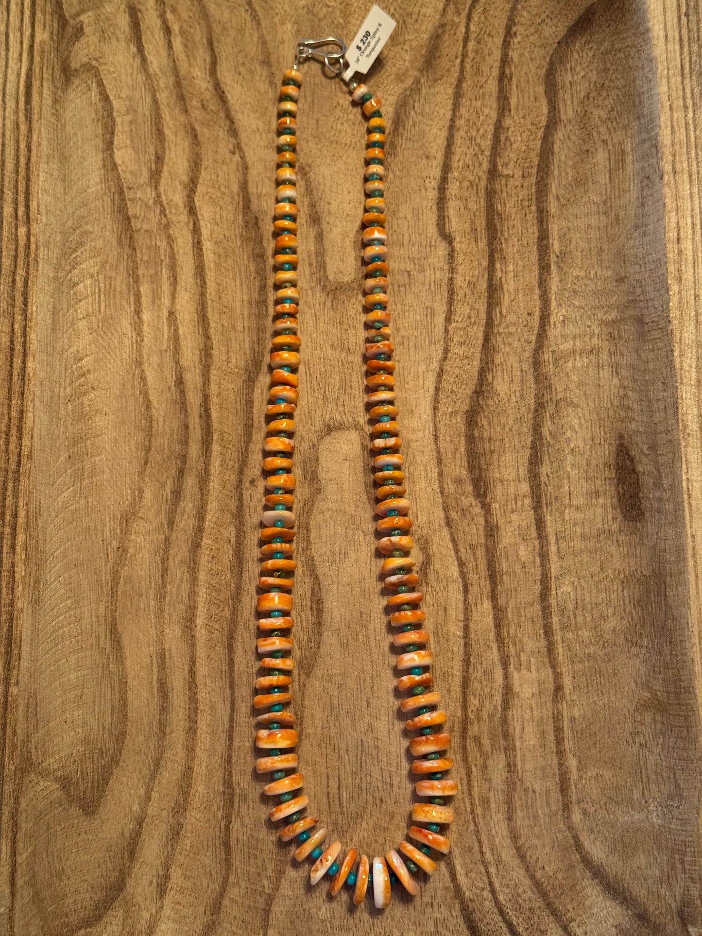 28" Orange Spiny & turquoise