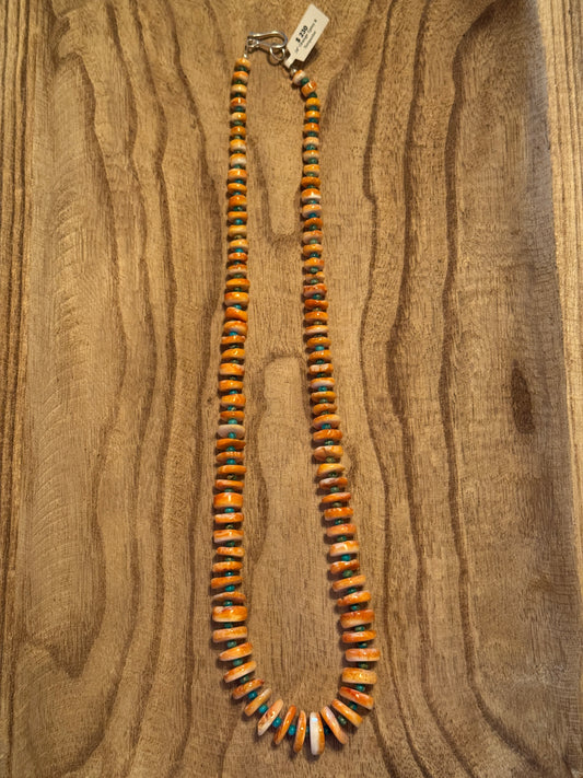 28" Orange Spiny & turquoise