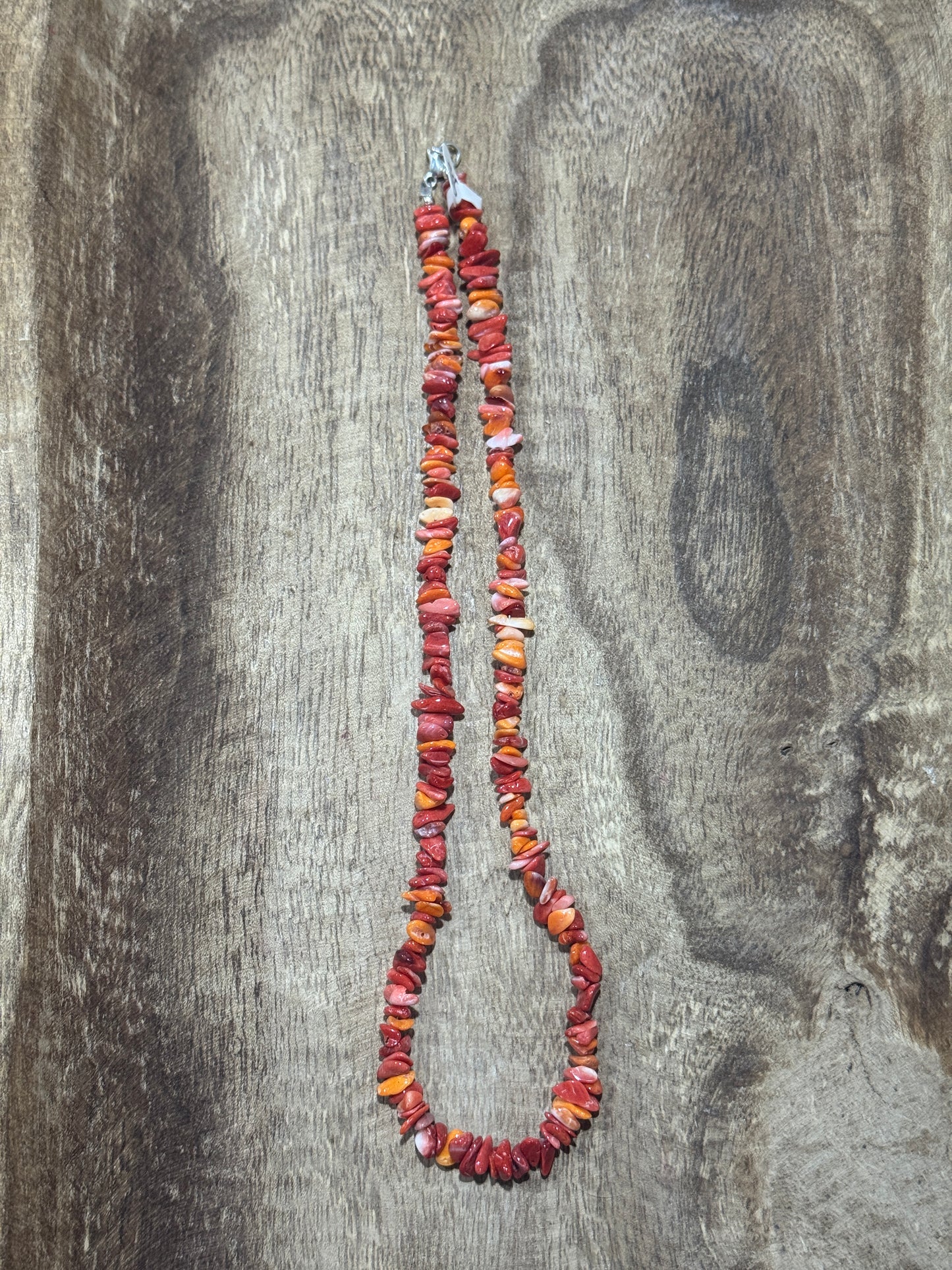 18” Spiny Chip Necklace