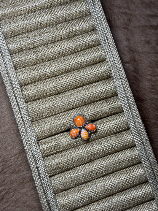 Sz 8.75 Orange Spiny Cluster