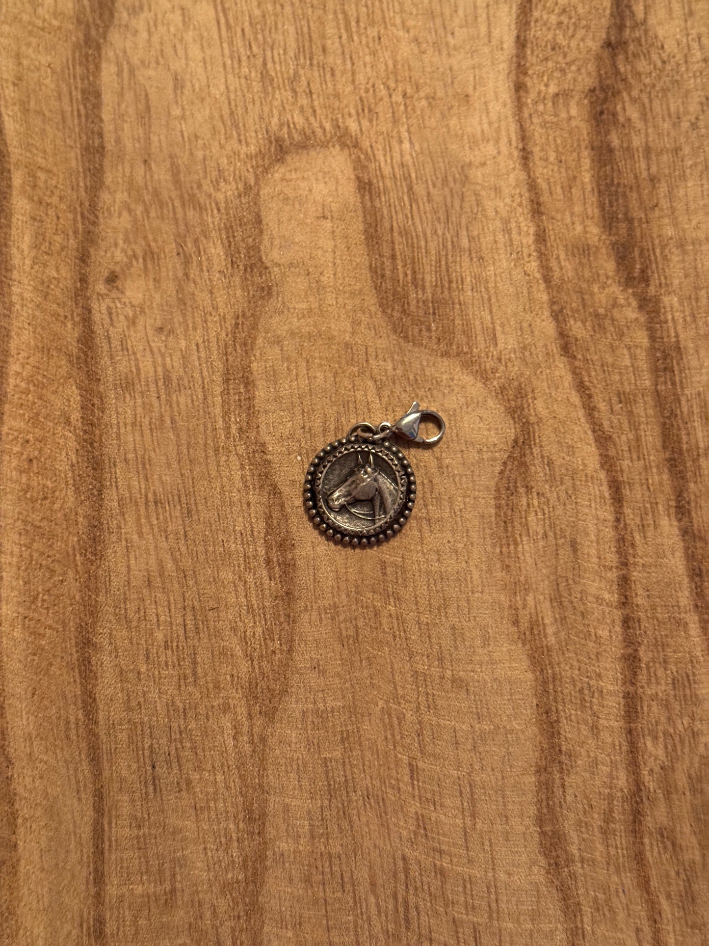 Horse Coin Charm