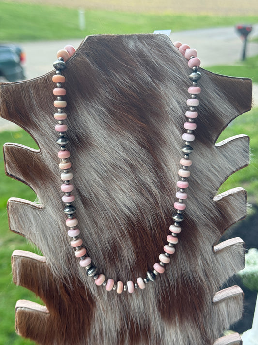 17.5-19” Pink Conch