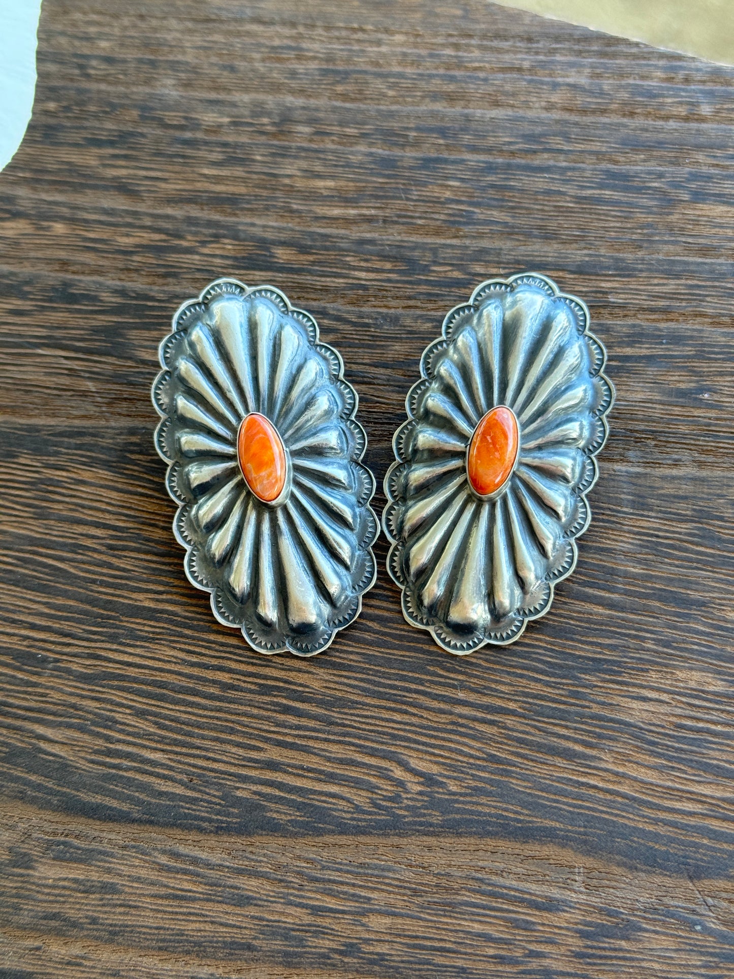 Orange Spiny Conchos