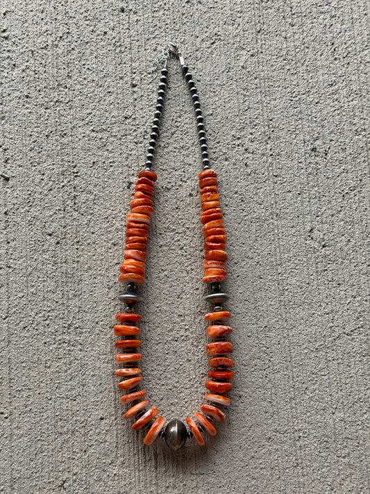 20.5-22" Graduated Orange Spiny