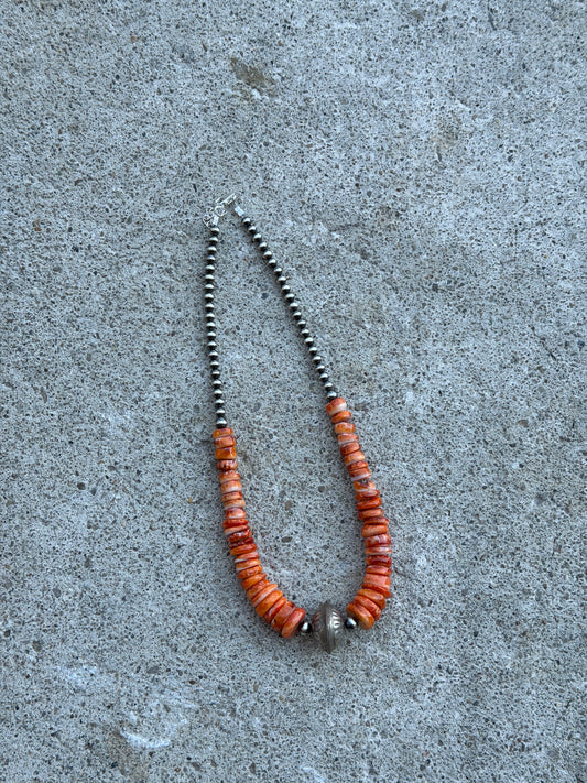 15-16.5" Orange Spiny