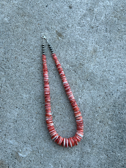 19.5-21" Red Spiny
