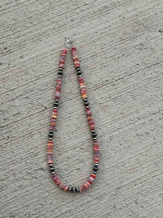 17.5-19" Rainbow Shell & Pearl
