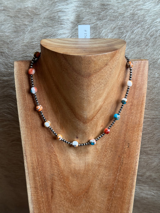 14.5-16" Kingman Spiny