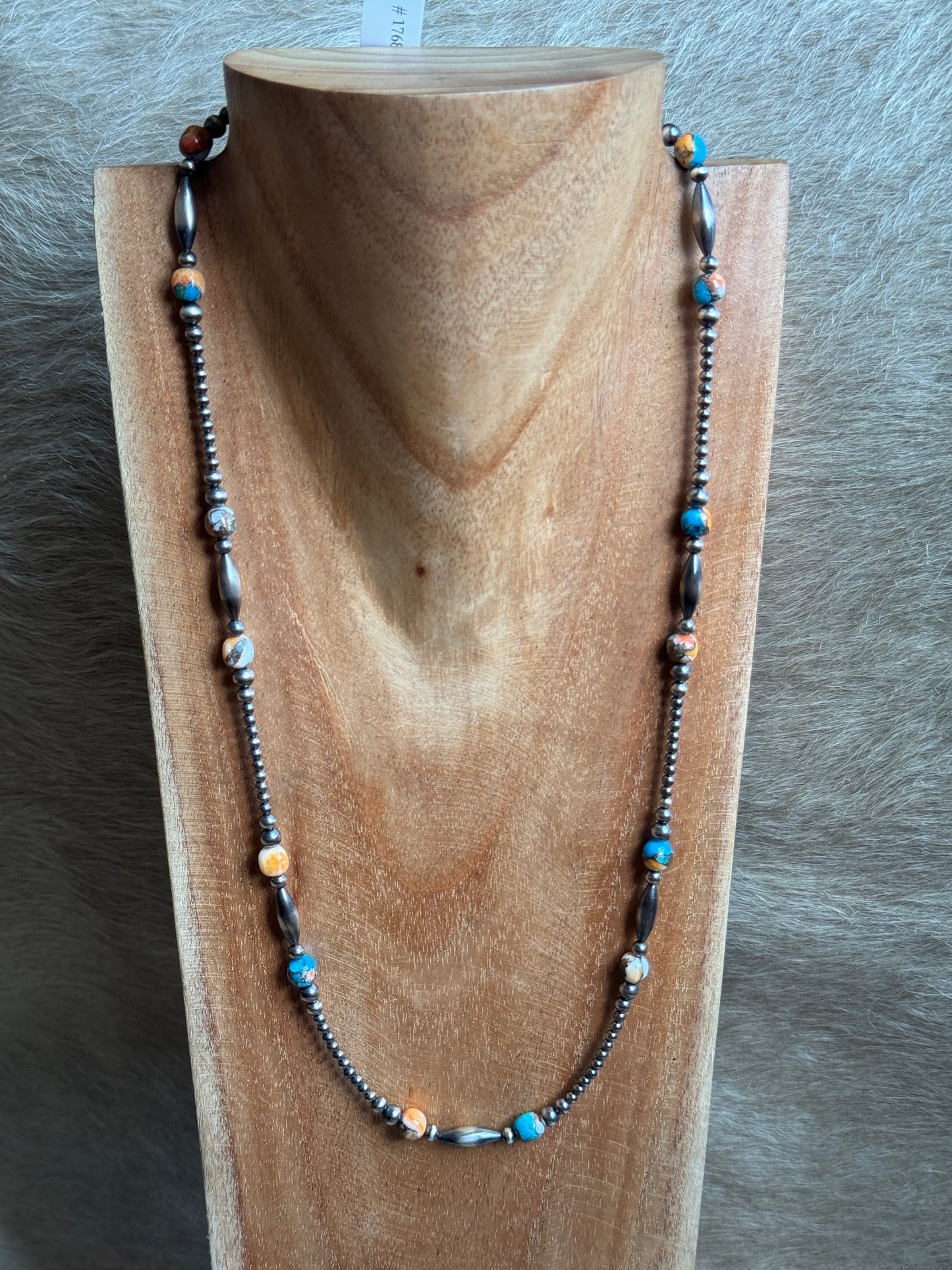 25-27" Kingman Spiny