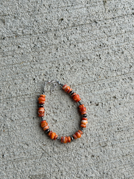 6.5-7.5" Orange Spiny