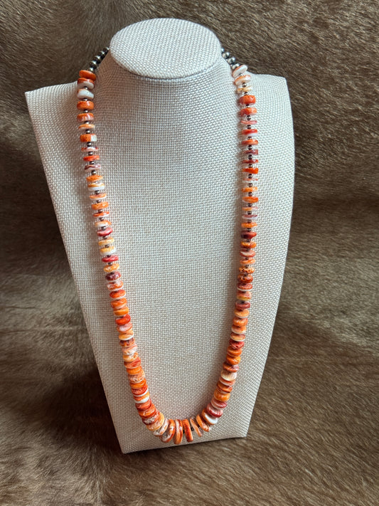 25.5-27" Orange Spiny