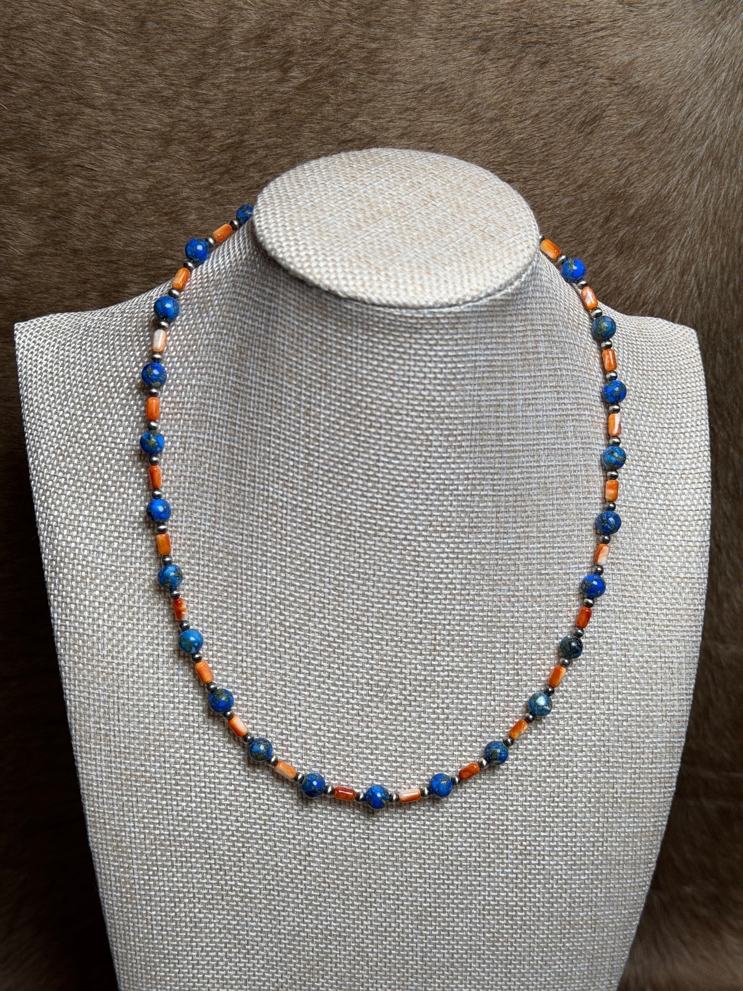 18.5-20" Orange Spiny & Blue Mohave