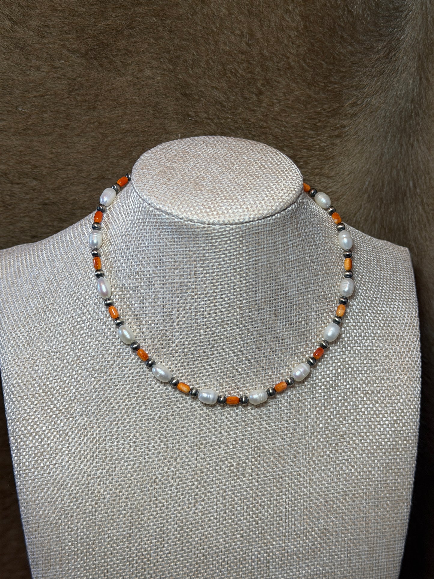 13.5-15" Freshwater & Orange Spiny