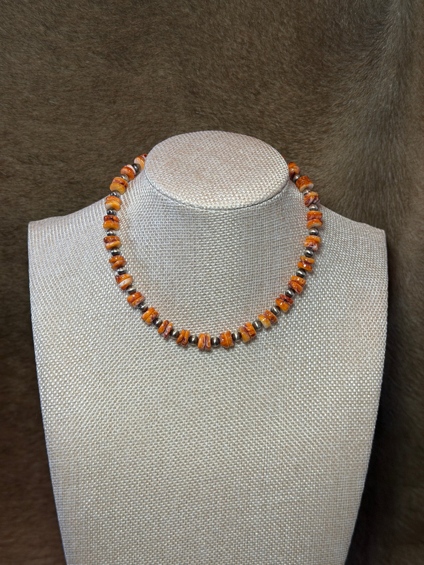 13-14.5" Orange Spiny