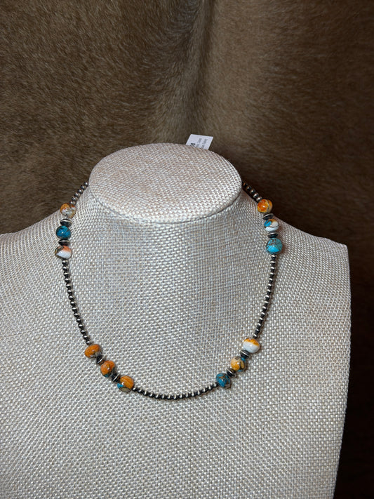 14-15.5" Kingman Spiny