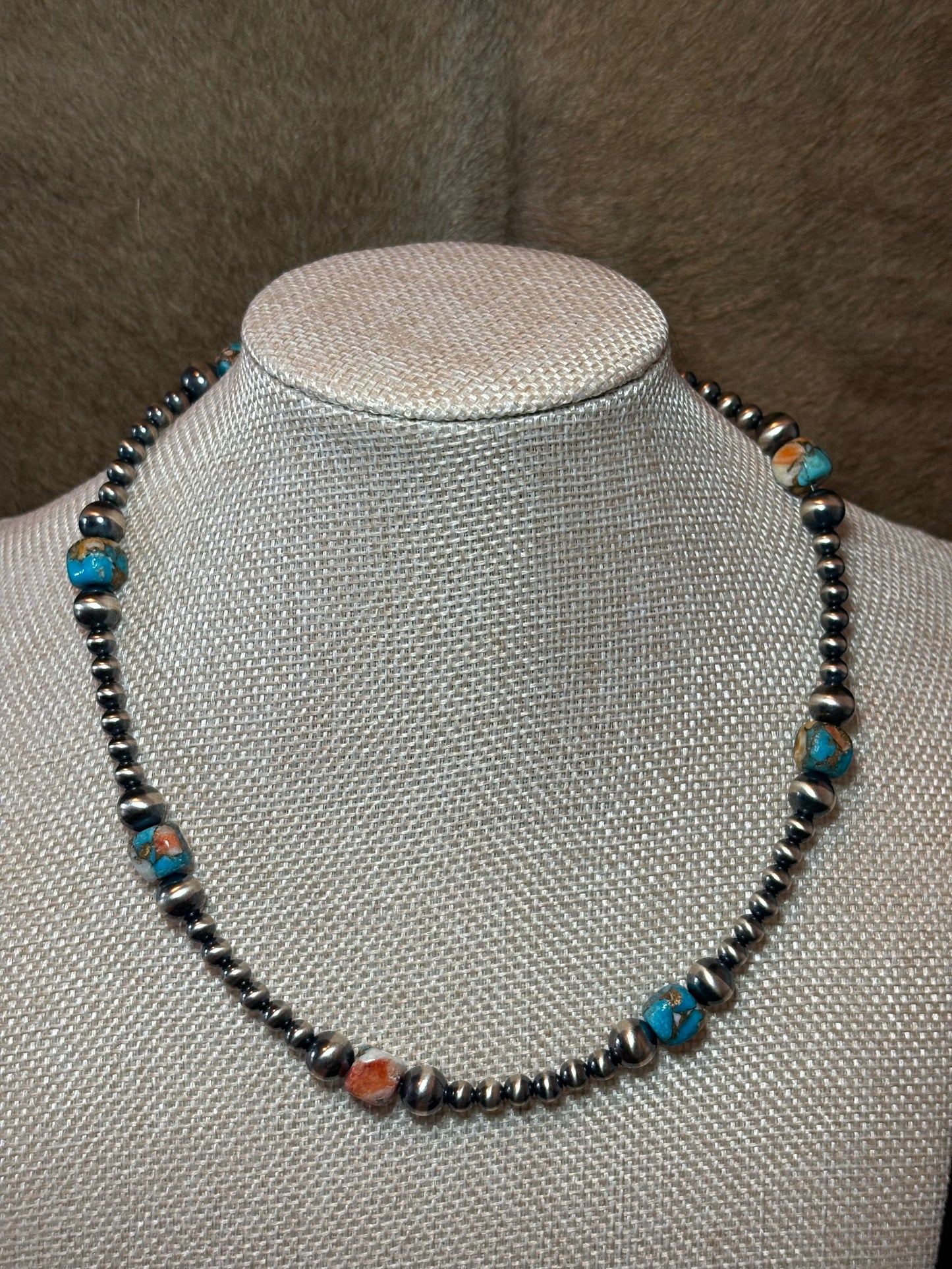 17-18.5" Kingman Spiny