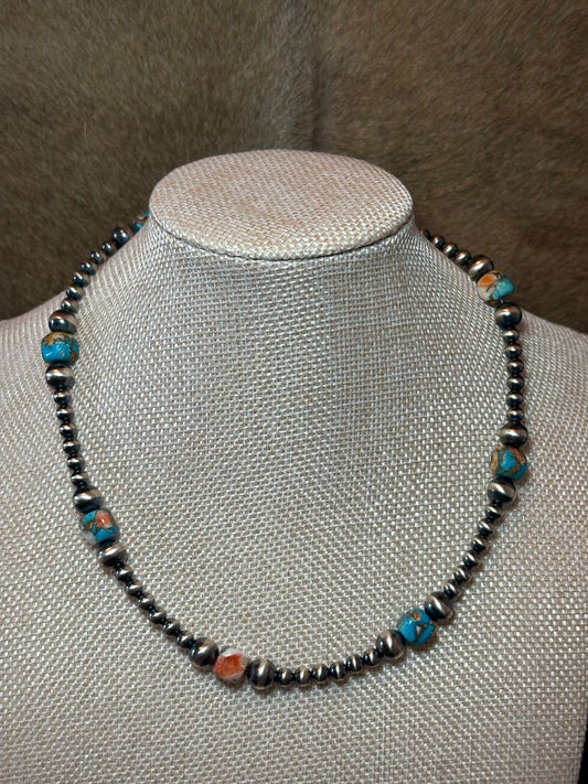 17-18.5" Kingman Spiny