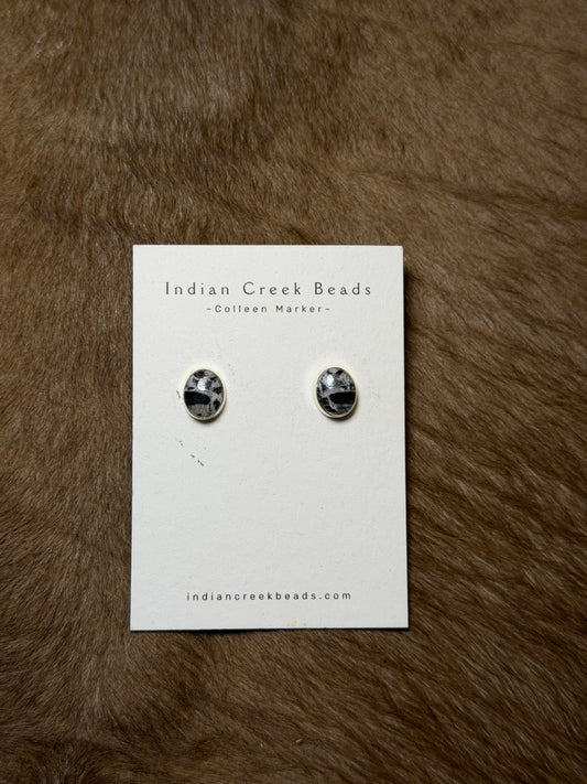 White Buffalo Studs