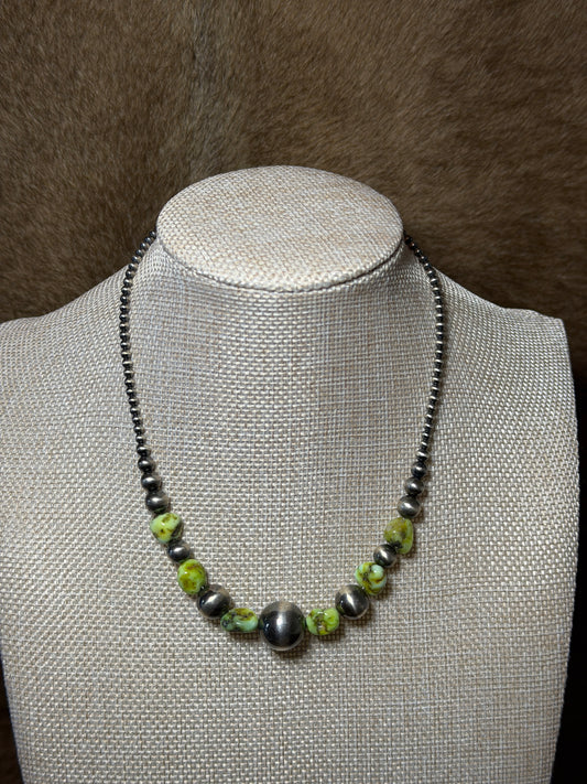 14.5-16" Palomino Varisite