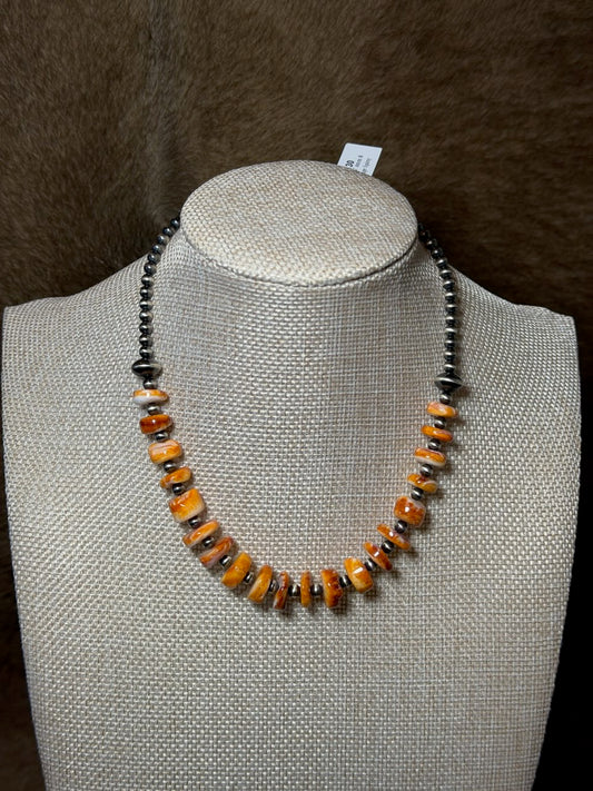 14.5-16" Orange Spiny