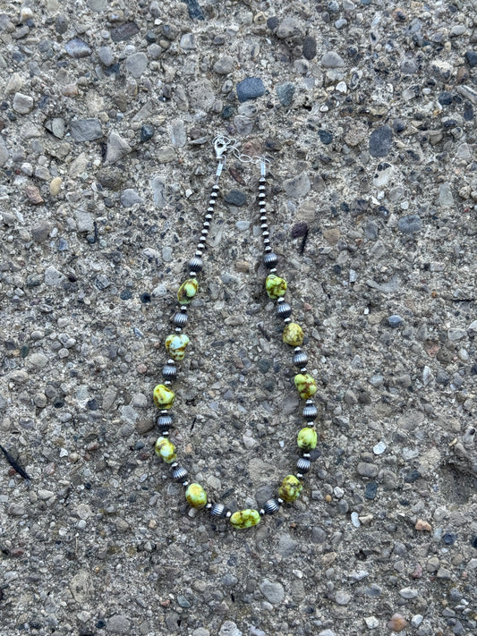 16.5-18" Palomino Varisite