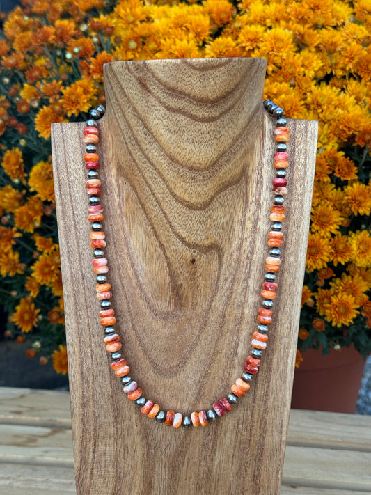 19.5-21" Orange Spiny