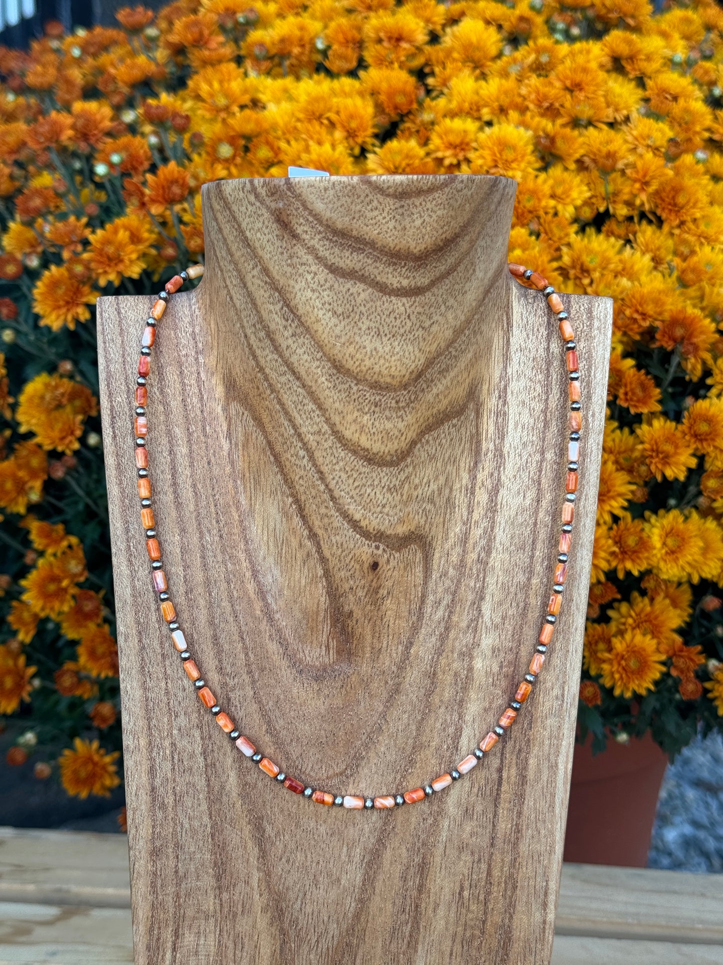 18.5-20" Orange Spiny