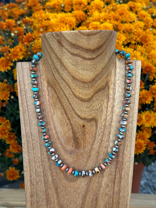 17-18.5" Kingman Spiny