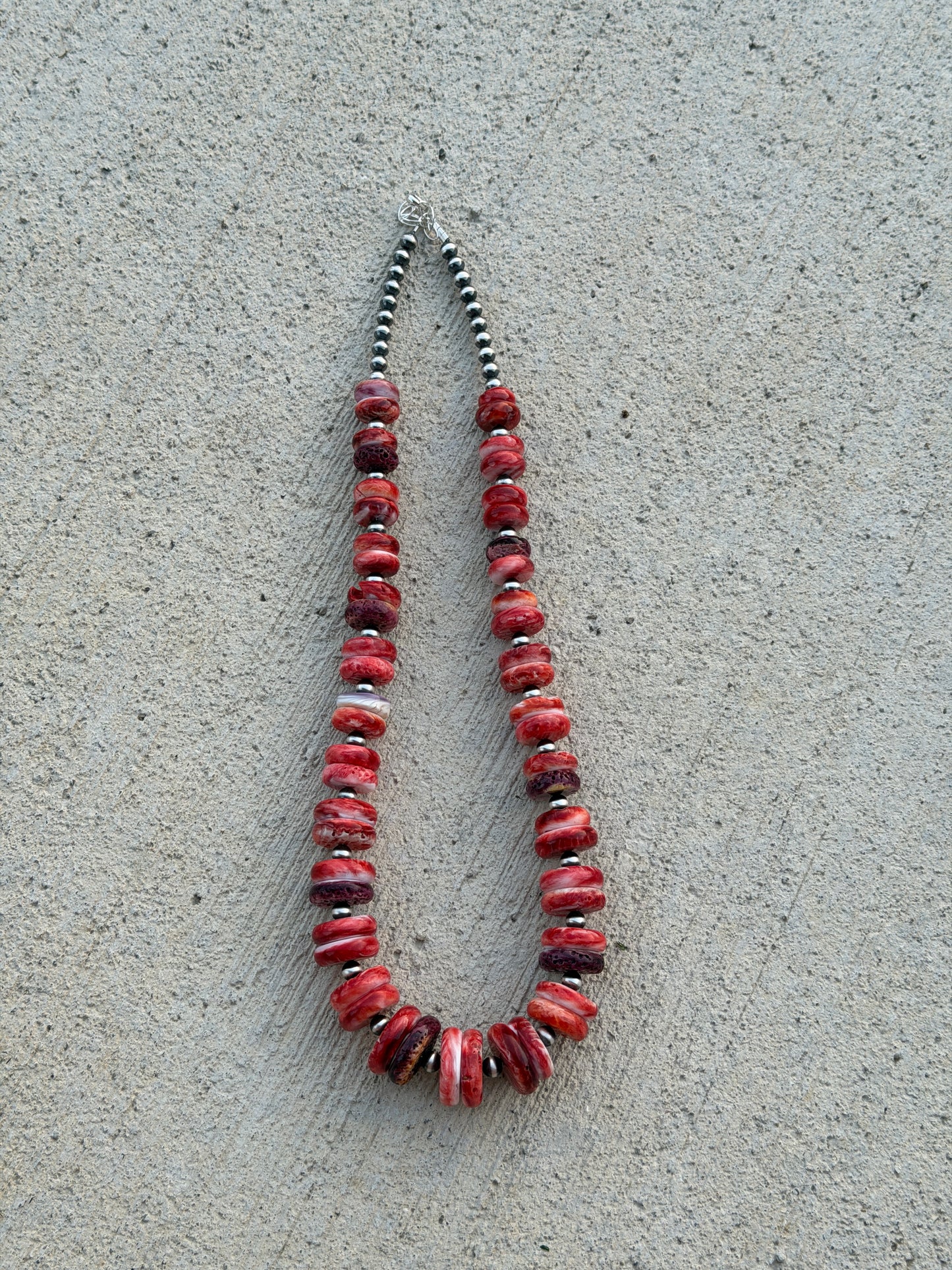 20.5-22" Red/Purple Spiny