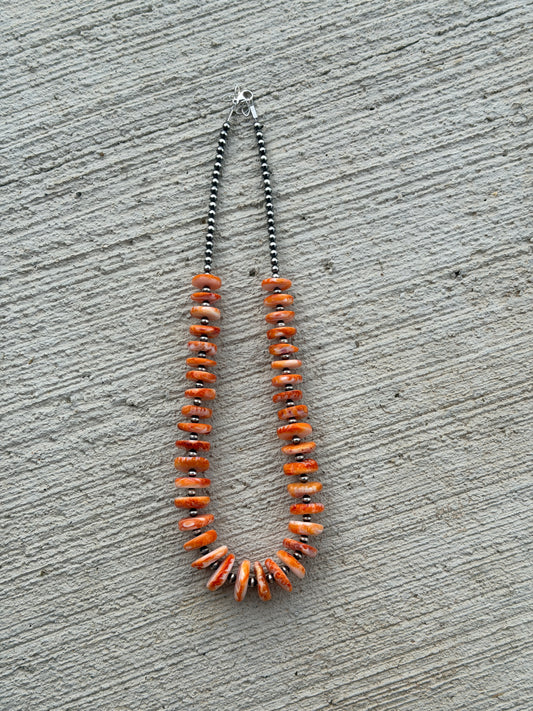 19-20.5" Orange Spiny